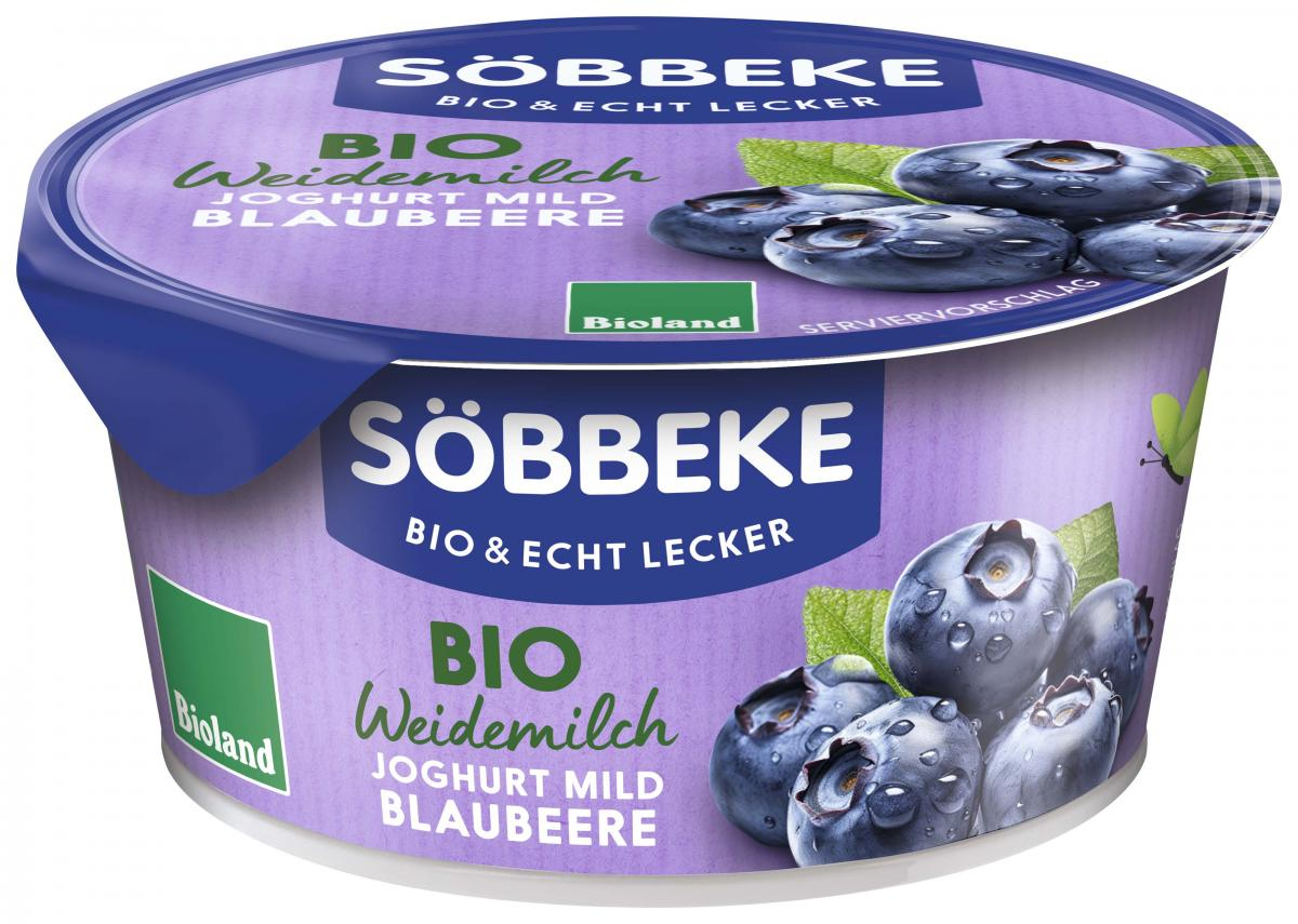 Pur Joghurt Blaubeere, mild, 3,8% (Becher)